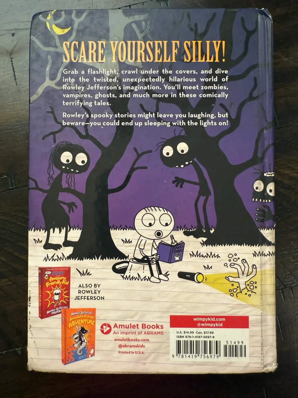 Rowley Jefferson Purple Halloween Party Banner by Jeff Kinney Kids Book
